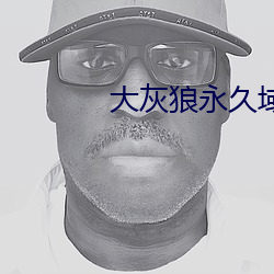 大灰狼永久域收藏地址