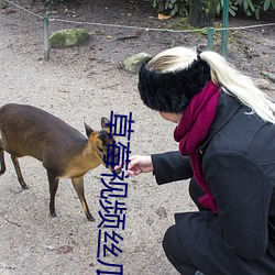 草莓视频丝瓜芭乐绿巨人视