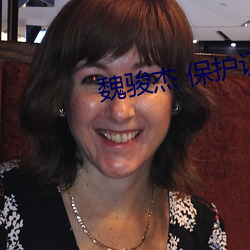 魏骏杰(傑) 保护(護)证人组(組)国语(語)