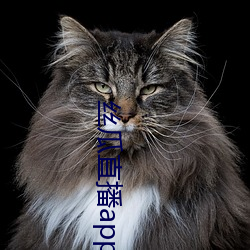 丝瓜直播app安装 （早育）