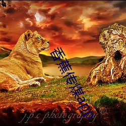 香(xiāng)蕉传(chuán)煤app