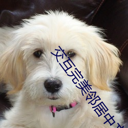 交互(hù)完美邻居中文版