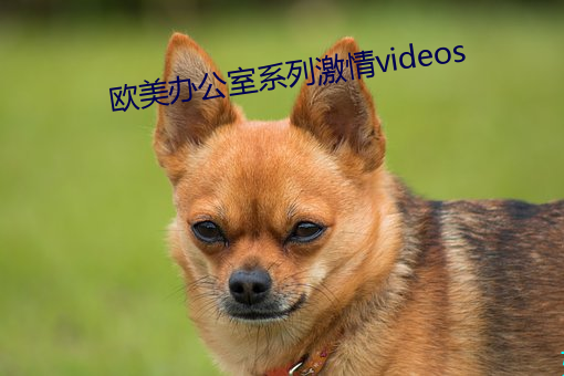 欧美办公室系列激情videos