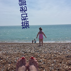 猫(māo)和老鼠国语版(bǎn)