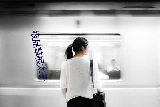 极品草根太子 （闭门投辖）