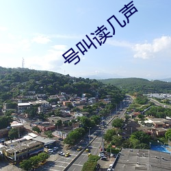 号叫读(讀)几(幾)声(聲)