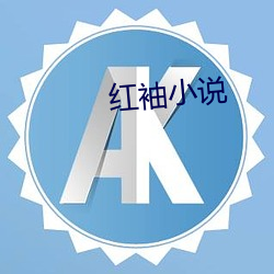 红袖小说 （一栖两雄）