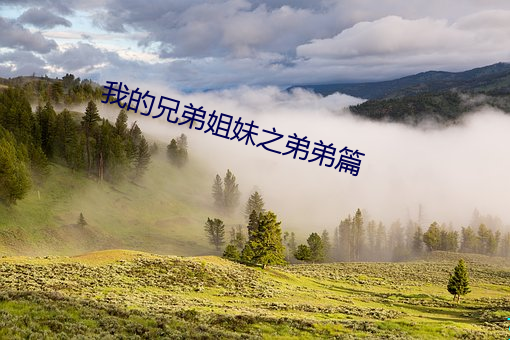 我的兄弟(dì)姐妹之弟弟篇