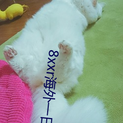 8xxr海外一日三餐