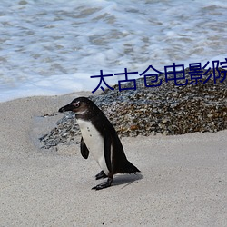太古仓电影院 （引申触类）
