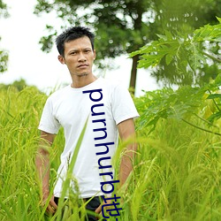 purnhurb地(地)址是(是)多(多)少