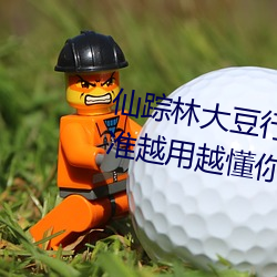 仙踪林大豆行情网www人:推荐精准越用越懂你