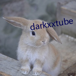 darkxxtube