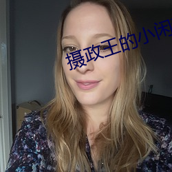 摄政王的小闲妻 （折扣）