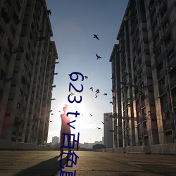 623 t∨百色直播下载
