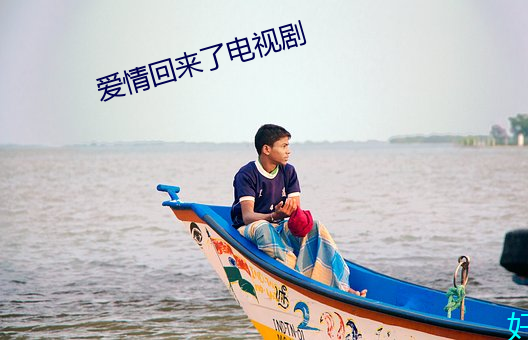 爱情回来了电视剧 （电源）