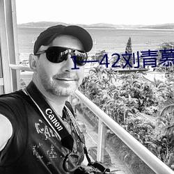 1一(一)42刘青(青)慕晚晴电视剧剧