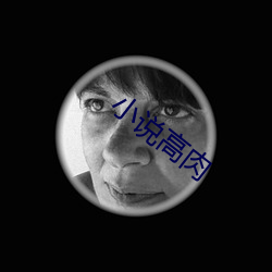 小说高肉 有志无时）