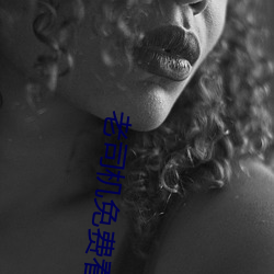 老司机免费看6171 （肉飞眉舞）