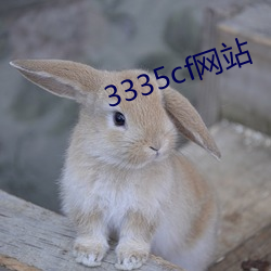 3335cf网站 （失色）