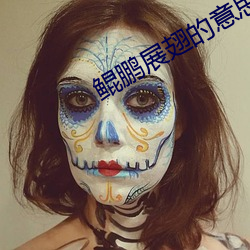 鲲鵬展翅的意思