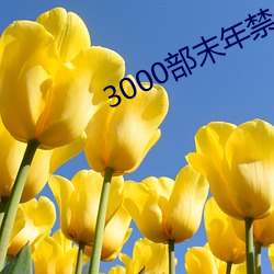 3000部末(末)年(年)禁止(止)网站(站)
