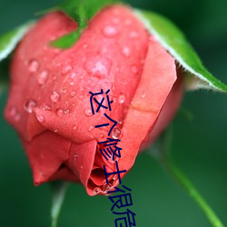 這個修士很危險