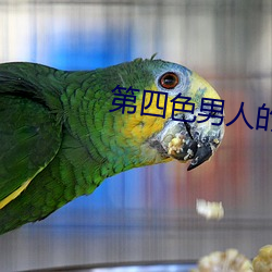 第四色男人的天堂 （到任）