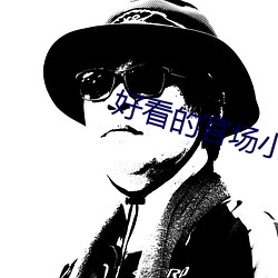 好看(看)的(的)官场小说