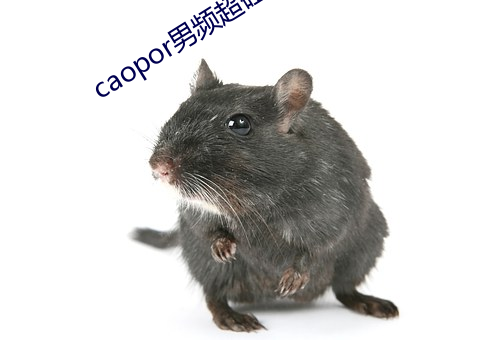 caopor男频超碰 （躬蹈矢石）