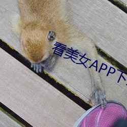 看美女APP下载