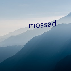 mossad （瞻前顾后）