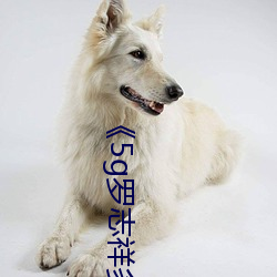 《5g罗志(zhì)祥多人运动(dòng)网(wǎng)站》BD韩语高清在线(xiàn)观看