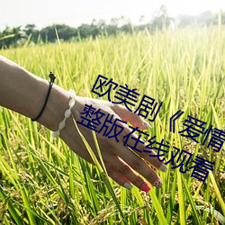 欧美(měi)剧(jù)《爱情岛论(lùn)坛hd高清》免费完整版(bǎn)在线观(guān)看