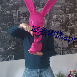 域名(míng)停(tíng)靠(kào)app应用大(dà)全(quán)