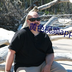 黄色视频app下(xià)载(zài)网站大(dà)全
