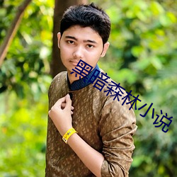 黑暗森林小說