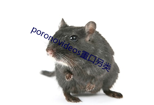 poronovideos重口(口)另类(類)