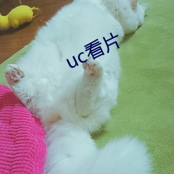 uc看片