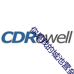 你是我的城池营垒小说