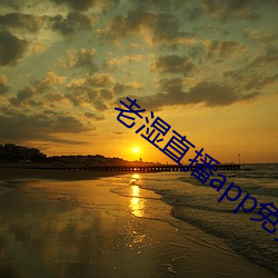 老湿直播app免费版