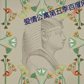 爱情公寓第(第)五季百度(度)网盘