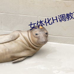 女体化H调教变性
