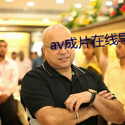 av成片(piàn)在线导航