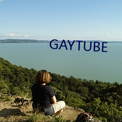 GAYTUBE （党费）