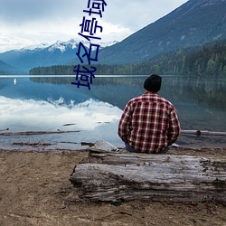 域名停域入口 （方骖并路）