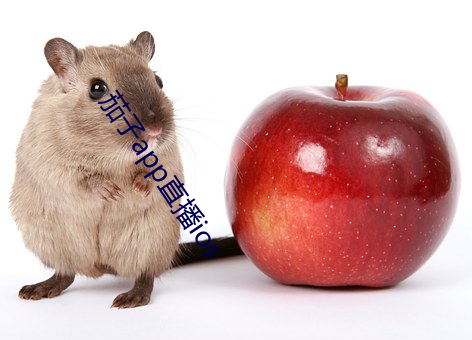 茄子app直播ios