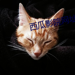 西瓜影院網址