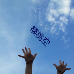 樱桃空 （绣花）