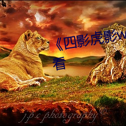 《四影虎影ww4hu32》DVD在线看 （祖宗家法）